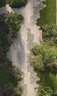 an aerial view of a path in the middle of a park with benches and trees