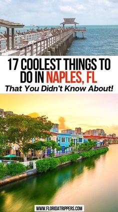 17 Coolest Things To Do In Naples, FL That You Didn't Know About! Naples Florida With Kids, Naples Travel, Fl Beaches