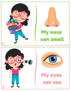 Five Senses Activity for Preschool Free Download pdf Five Senses Activity For Preschoolers, My Body Sensory Activities, 5 Senses For Kindergarten, Body Parts Activity For Kindergarten, Parts Of The Body For Kids Activities, Five Senses Activities For Preschoolers, My Five Senses Activities, My Body Activities, Five Senses Activity