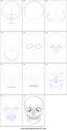 the steps to draw a skull with different angles and shapes for each face, including the head