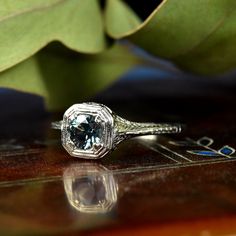 a close up of a ring on top of a table with leaves in the background