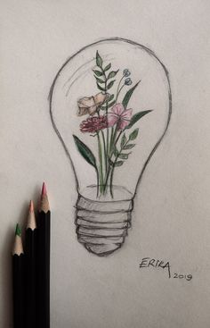 a pencil drawing of a light bulb with flowers inside