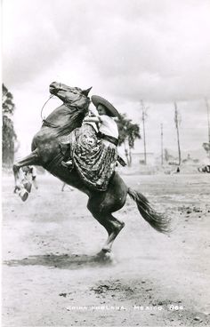 a man riding on the back of a horse