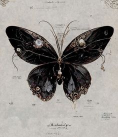 a drawing of a black butterfly with many details on it's wings and back