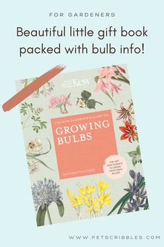 a book with the title beautiful little gift book packed with bulb info