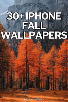 30+ beautiful free phone fall wallpaper! Refresh your phone with stunning fall designs that bring the essence of autumn to your fingertips. These wallpapers, filled with warm tones and nature-inspired elements, will perfectly complement any fall designs for the home. Iphone Wallpaper Fall Autumn, Wallpaper Fall Autumn, Fall Designs