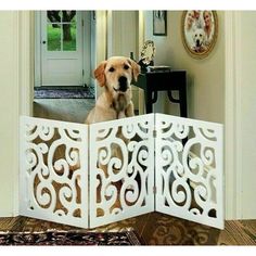 a dog sitting on top of a white gate