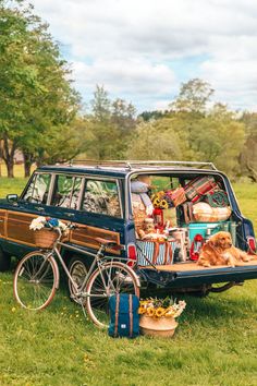 a dog is sitting in the back of a car with its trunk full of items