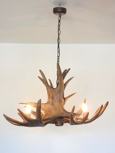 a chandelier made out of antlers hangs from the ceiling