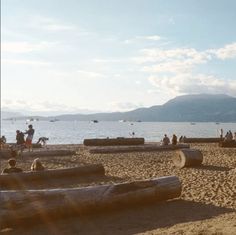 people are on the beach with logs in front of them and mountains in the background