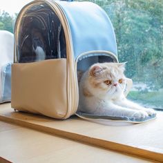 a cat sitting in a pet carrier next to a window