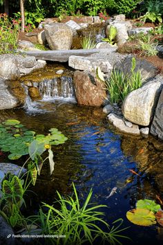 Check out our huge gallery of unique pond landscaping ideas plus expert tips to transform your backyard pond into a stunning oasis. Pond With Bridge, Pond Landscaping Ideas, Dry Riverbed Landscaping, Pond Bridge, Beautiful Pond, Backyard Pond, Pond Ideas