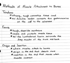 a piece of paper with writing on it that says method of music attachment to bones