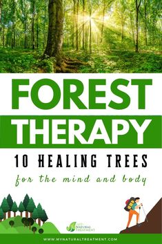 Forest Therapy, Nature School, Forest Bathing, Natural Antibiotics, Healing Therapy, Forest School, Holistic Healing, Natural Treatments, Alternative Medicine