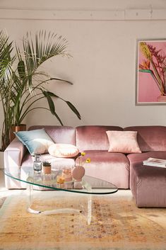 a living room with a couch, coffee table and potted plant