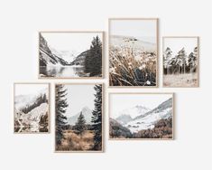 four framed photographs of mountains and trees in various frames on a wall above a white background