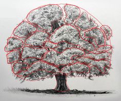 a drawing of a tree with red lines in the shape of hearts on it's trunk