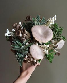 a person's hand holding a bouquet with mushrooms and greenery on it in front of a gray wall