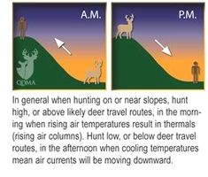 the diagram shows how deer can be seen in different directions