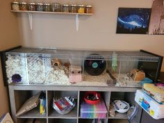 a room filled with lots of different types of animals in cages on top of shelves