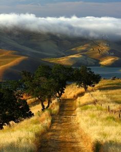 a dirt road with trees on both sides and mountains in the background, under a cloudy sky