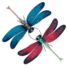 two blue and red dragonflys flying side by side with each other on a white background