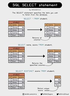 a diagram showing the different types of data