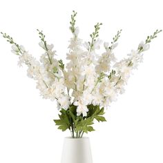 white flowers in a vase on a white background