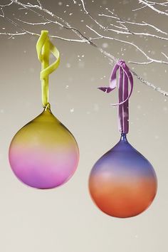 two colorful ornaments hanging from a tree branch