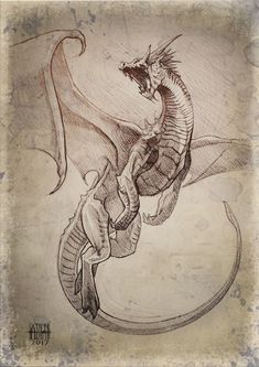 a drawing of a dragon on paper