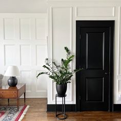 a living room with white walls and black door, plant in the corner next to it