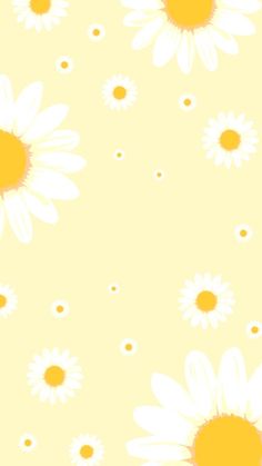 white daisies and yellow centers on a pink background