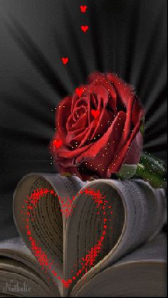 a red rose sitting on top of an open book in the shape of a heart