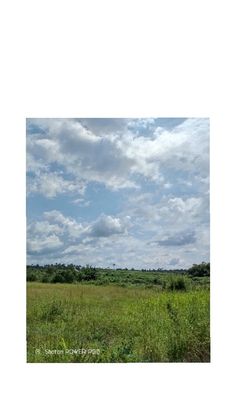 an open field with trees and clouds in the background