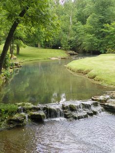 a small stream running through a lush green park