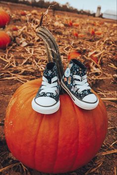 a pair of shoes sitting on top of a pumpkin in the middle of a field