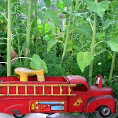 a toy fire truck sitting in the middle of some plants