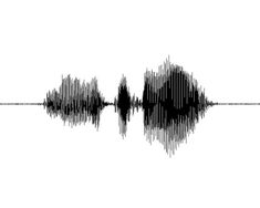 an audio wave is shown in black and white, with the reflection on the water