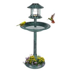 PRICES MAY VARY. 【Garden Decor for Outside】 --A charming decor for your outdoor garden yard with this exquisite, antique look bronzed patina bird baths of Fleur-de-Lis accents and delicate European lines 【Weather & Frost Resistant Resin】--The bird bath is made of lightweight high-density resin material, which is durable and holds up well through winter and summer under frost or sun exposure 【Sturdy Base】--This birdbath stays in place perfectly by filling the hollow stand with sand, rocks or wate Round Bird, Bath Pictures, Fountain Garden, Solar Powered Lamp, Bird Bath Fountain, Bird Bath Garden, Farm House Colors, Bird Baths, Patio Backyard