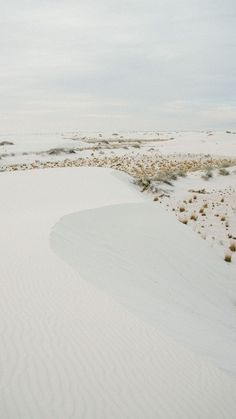 a man riding skis down a snow covered slope next to grass and bushes in the distance