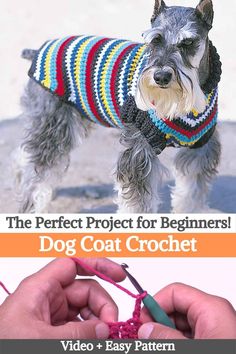 the perfect project for beginners dog coat crochet video and easy pattern book