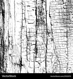 black and white photograph of wood textured with paint - stock image, background or wallpaper