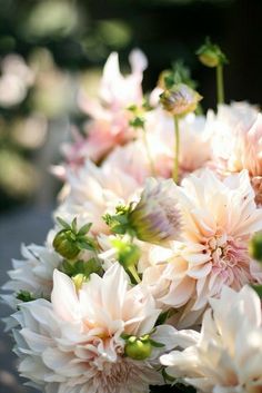 a vase filled with white and pink flowers