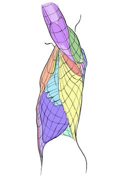 a drawing of an umbrella with many colors on it's back and side view