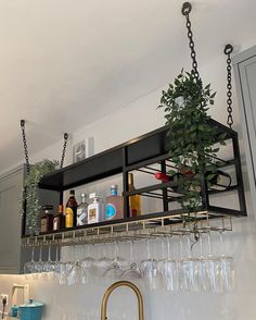 a potted plant and wine glasses hanging from a shelf above a sink in a kitchen