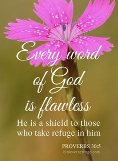 a pink flower with the words, every word of god is flatness he is a shield to those who take refuge in him prove