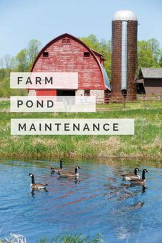 farm pond maintenance sign with ducks in the water and barn in the backround