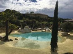 an empty swimming pool surrounded by palm trees