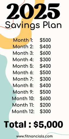 the financial savings plan is shown in black and white