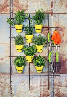 there are many potted plants on the wall with gardening tools in front of them